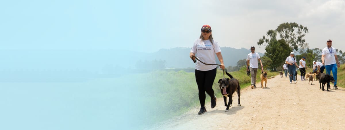 Gabrica Solidaria