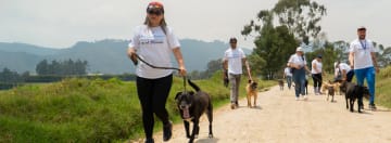 Gabrica Solidaria