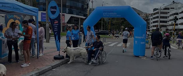 Gabrica llega a Lumina Fest con experiencias pet friendly y jornadas de acompañamiento veterinario.