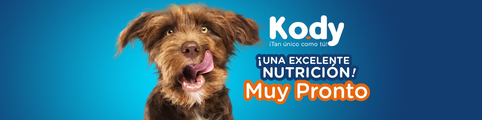 Imagen de KODY: La nueva nutrición canina creada por Gabrica