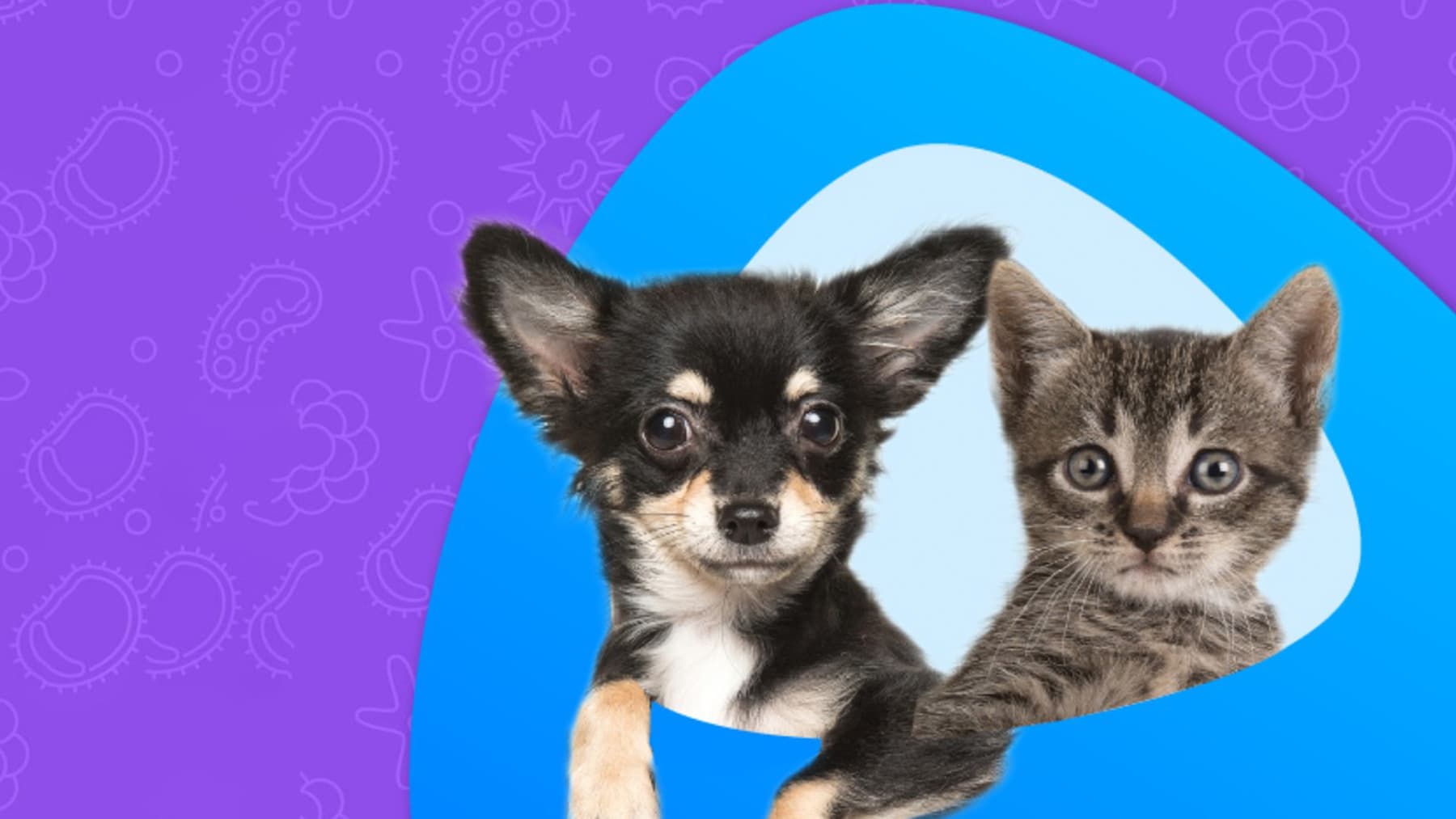 Desparasitación en cachorros