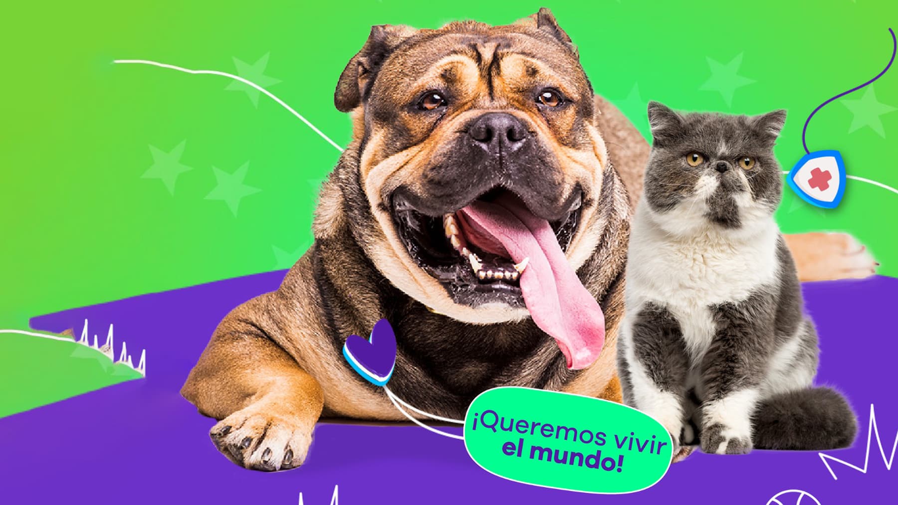 Guía Esterilización en Adultos mayores